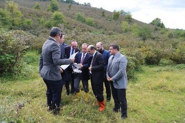 Ordu, Eğitim Ve Araştırma Hastanesine Kavuşuyor 1