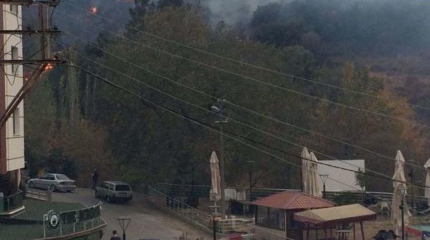 Manisa'da Alevler 2 Hektar Ormanı K&uuml;le &Ccedil;evirdi
