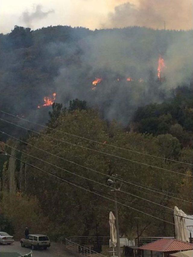 Manisa da Alevler 2 Hektar Ormanı Küle Çevirdi 1