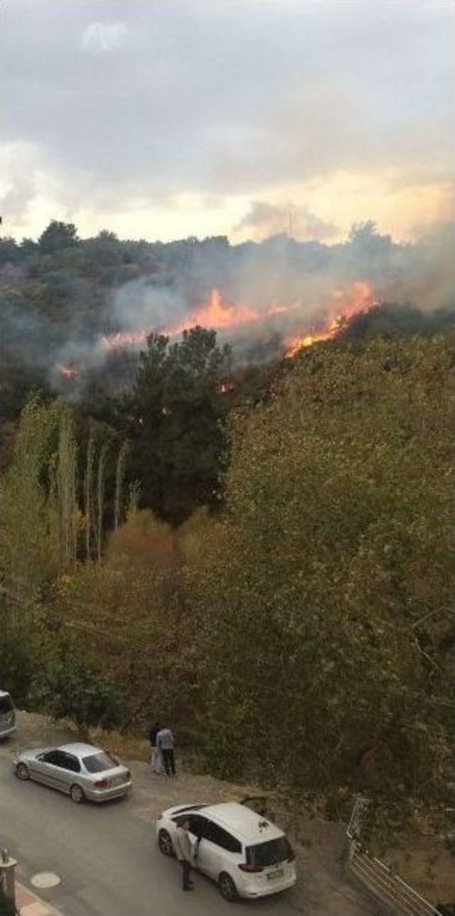 Mesir Tabiat Parkı’nda Makilik Alan Yangını