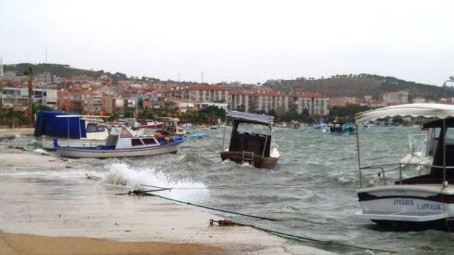 Ayvalık’ta Lodos Fırtınası