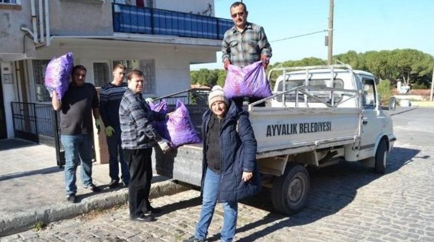 Ayvalık Şefkat Evleri&rsquo;nden İhtiya&ccedil; Sahiplerine K&ouml;m&uuml;r Yardımı