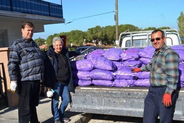 Ayvalık Şefkat Evleri’nden İhtiyaç Sahiplerine Kömür Yardımı