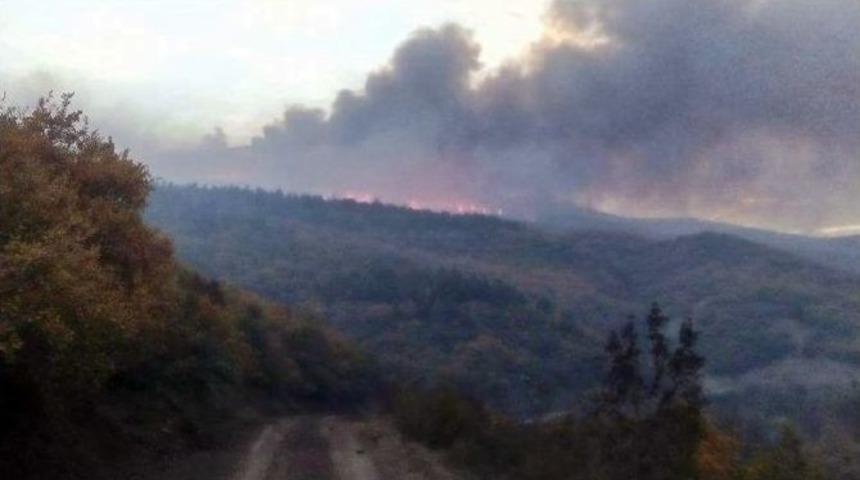 Balıkesir&rsquo;de Orman Yangını