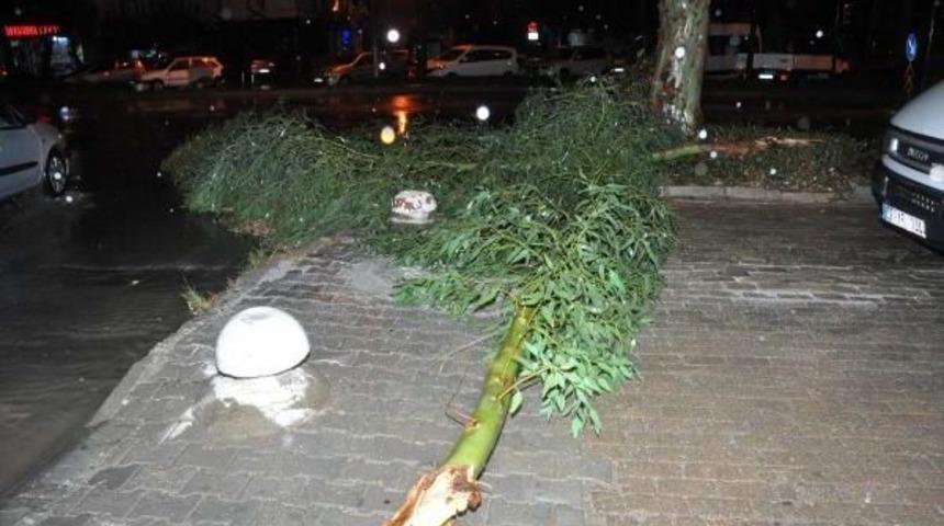 Didim'de Yağmur Ve Fırtına Etkili Oldu