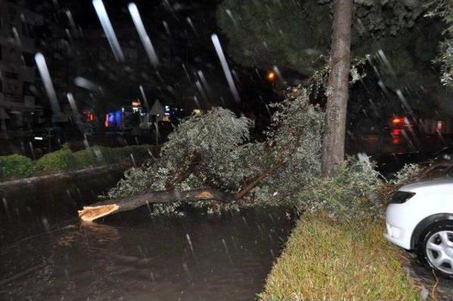 Didim'de Yağmur Ve Fırtına Etkili Oldu