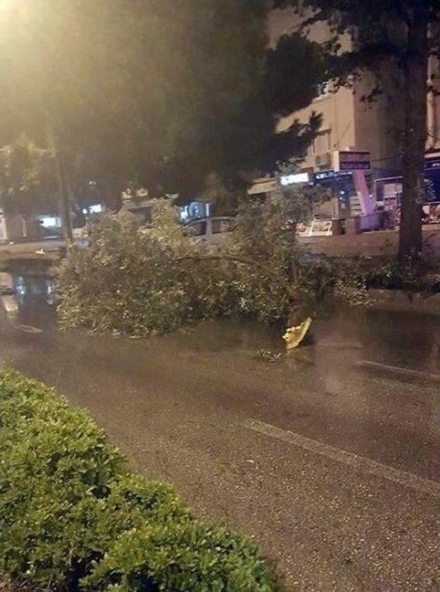 Didim’de Etkili Fırtına Yaşamı Olumsuz Etkiledi