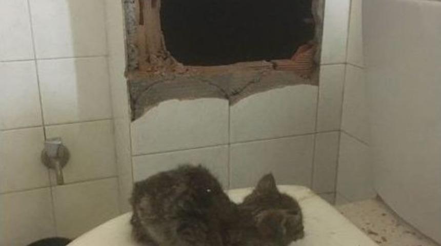 Havalandırma Boşluğuna D&uuml;şen Kedi İtfaiye Ekiplerince Kurtarıldı