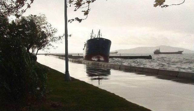 Maltepe’de Gemi Karaya Oturdu