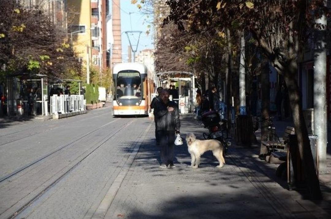 Eskişehir&rsquo;de Hayat 9.05&rsquo;te Durdu