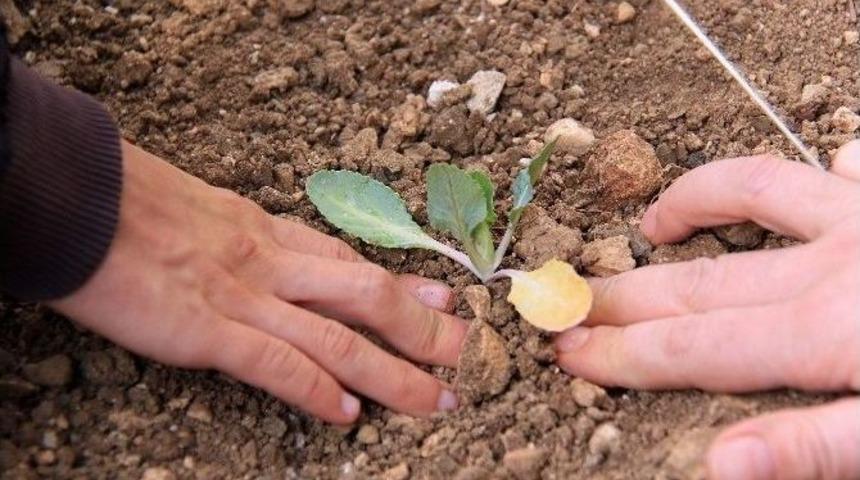 Engelsiz Hobi Bahçelerinde Kış Sezonu Başladı