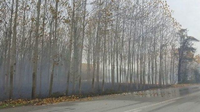 Anız Yangını Büyümeden Söndürüldü