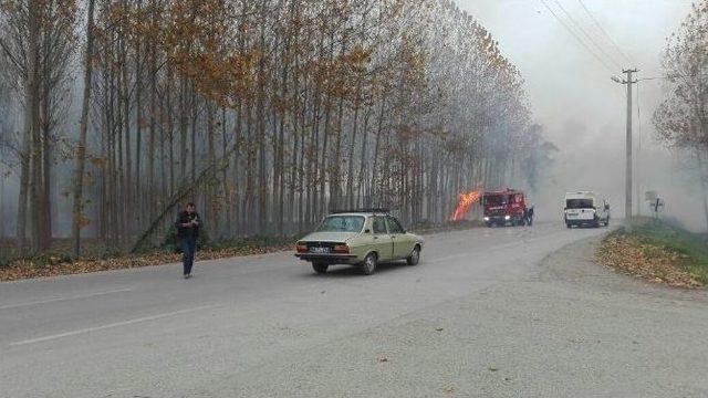 Anız Yangını Büyümeden Söndürüldü