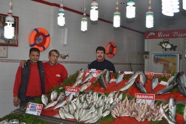 Sofralarda Palamudun Yerini Çinekop Aldı