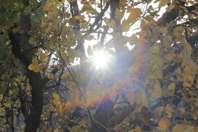 Hakkari Çimenli Köyünde Sonbahar Güzelliği