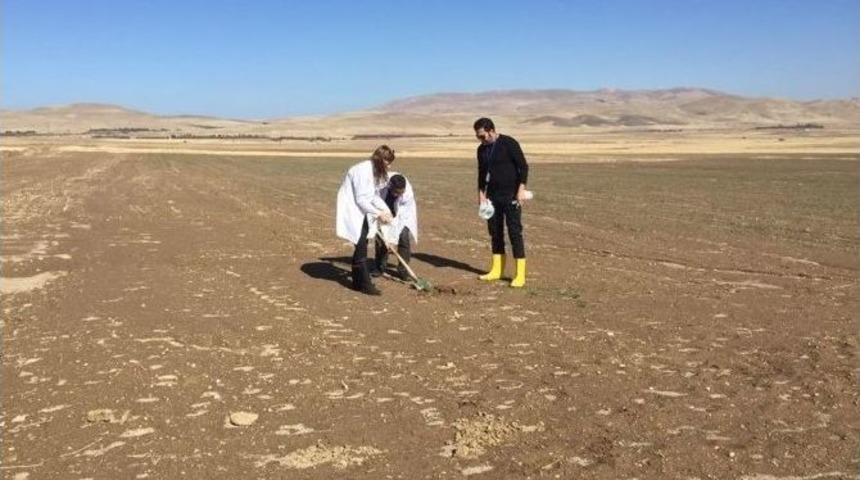 Van Ticaret Borsası, Toprak Bitki Ve Sulama Suyu Analiz Laboratuvarı Yeni Sezona Hazırlanıyor