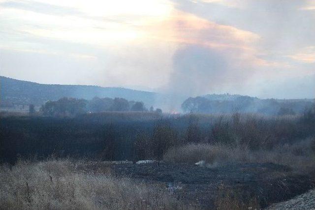 Beyşehir Gölü Milli Parkı’nda Sazlık Yangını