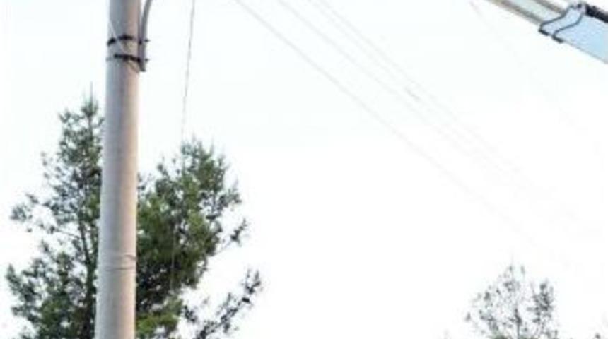 Bodrumlular Da Ata'yı Andı