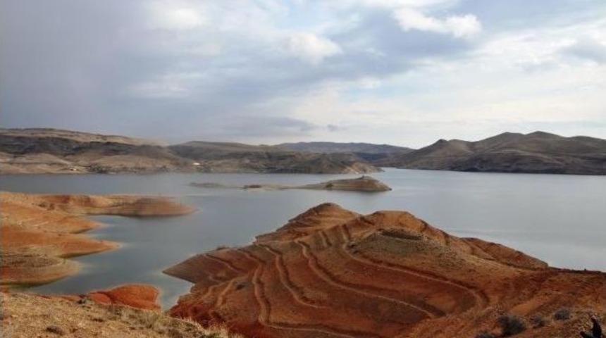 257 Bin 750 Adet Fidan Toprakla Buluştu