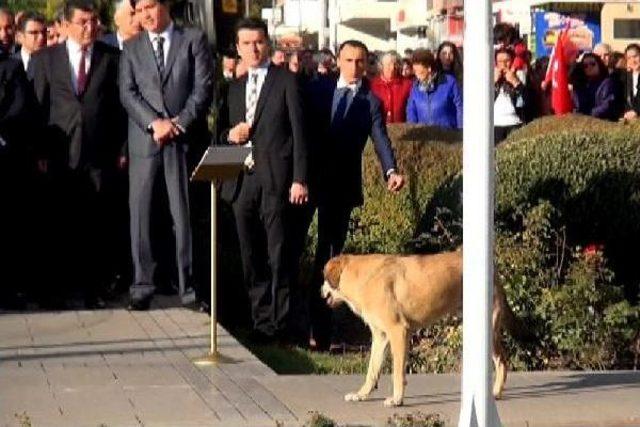 Ulu Önder Atatürk Ölümünün 78’Inci Yılında Konya’Da Anıldı