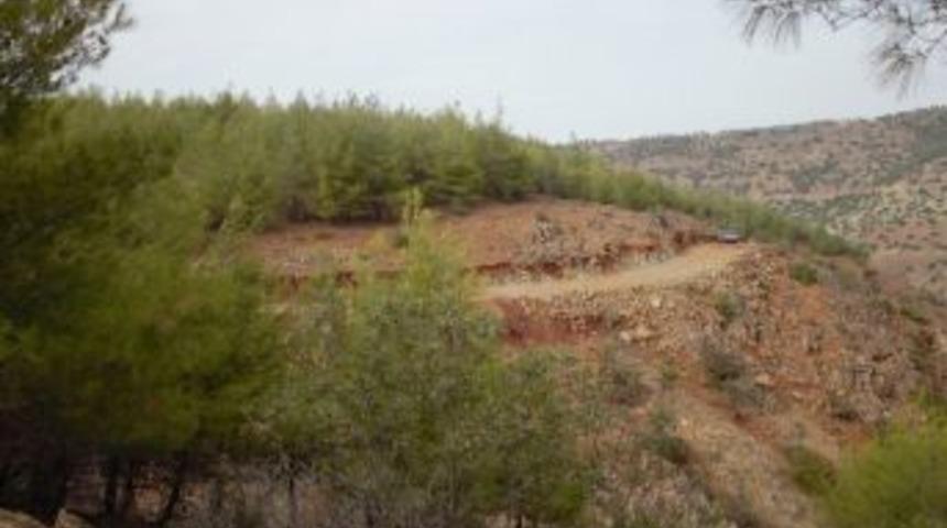 Yeni Orman Yolu Yapım &Ccedil;alışmaları Devam Ediyor