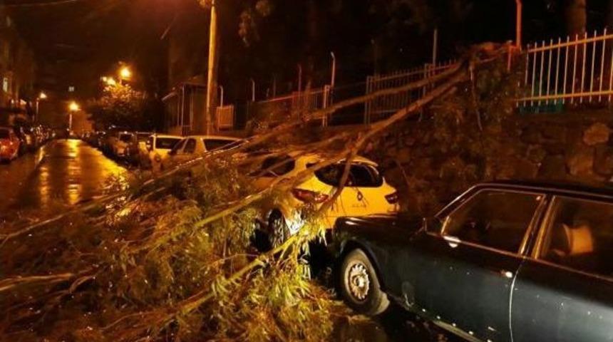 İzmir&rsquo;De Lodos Ağa&ccedil;ları Devirdi