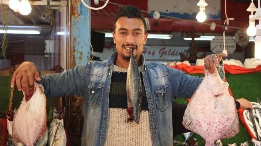 Kocaeli&rsquo;de &Ccedil;inakop Bereketi Yaşanıyor