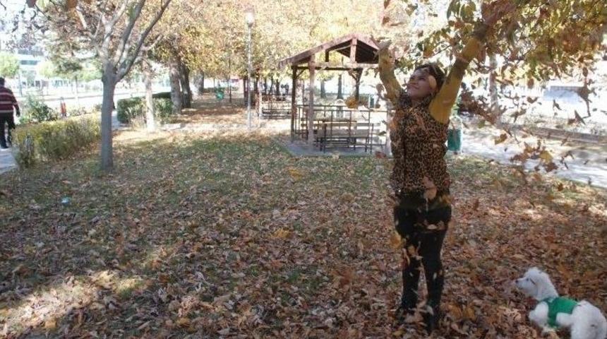 Tokat&rsquo;ta Sonbahar Yaprakları S&uuml;p&uuml;r&uuml;lmeyecek