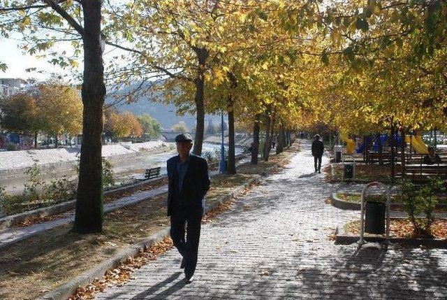 Tokat’ta Sonbahar Yaprakları Süpürülmeyecek