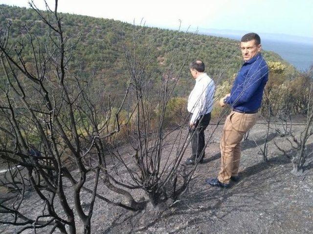 Biga’da 5 Hektar Tarım Arazisi Yandı 1