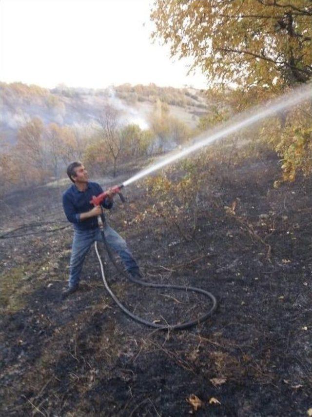 Biga’da 5 Hektar Tarım Arazisi Yandı 2