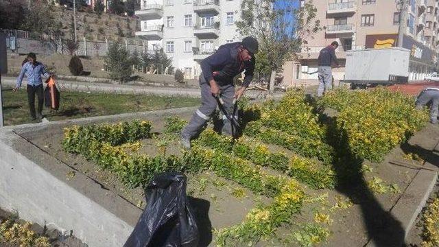 Sungurlu Güzelleşiyor