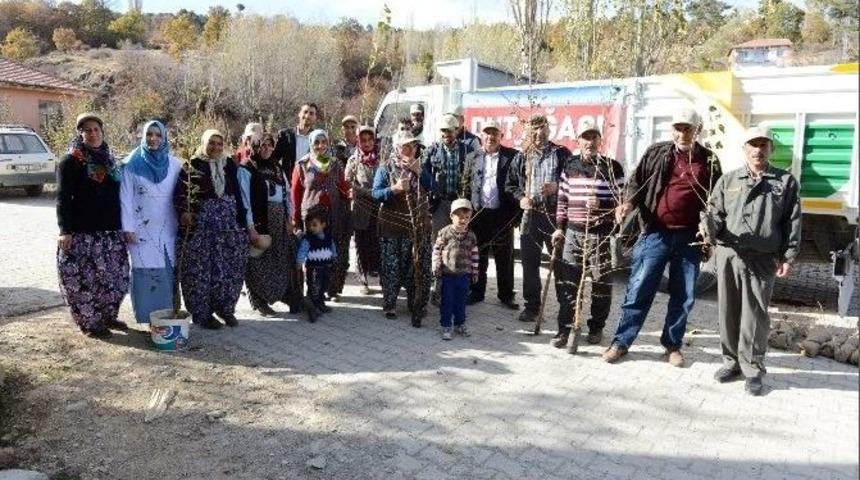 B&uuml;y&uuml;kşehir&rsquo;den İpekb&ouml;cek&ccedil;iliğine Destek