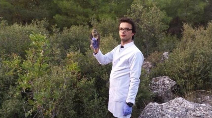 Tedavi Si Tamamlanan Yaralı Atmaca Doğaya Salındı