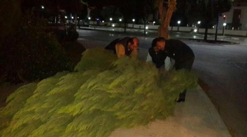 Yunusemre&rsquo;de Lodos Mesaisi