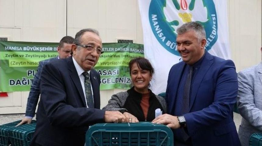 Akhisarlı &Uuml;reticinin Y&uuml;z&uuml; B&uuml;y&uuml;kşehirle G&uuml;ld&uuml;