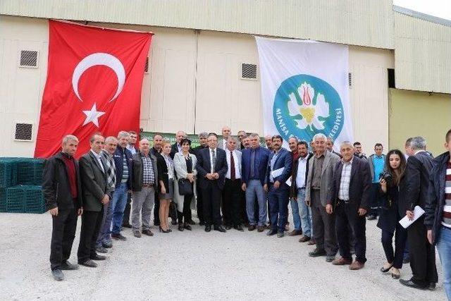 Akhisarlı Üreticinin Yüzü Büyükşehirle Güldü 1