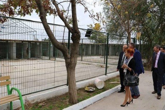 Manisa’nın En Modern Hayvan Barınaklarından Biri Akhisar’a Yapılıyor