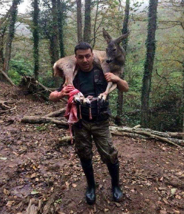 Yaralı Karacayı Omzunda Taşıyan Avcıya Ödül