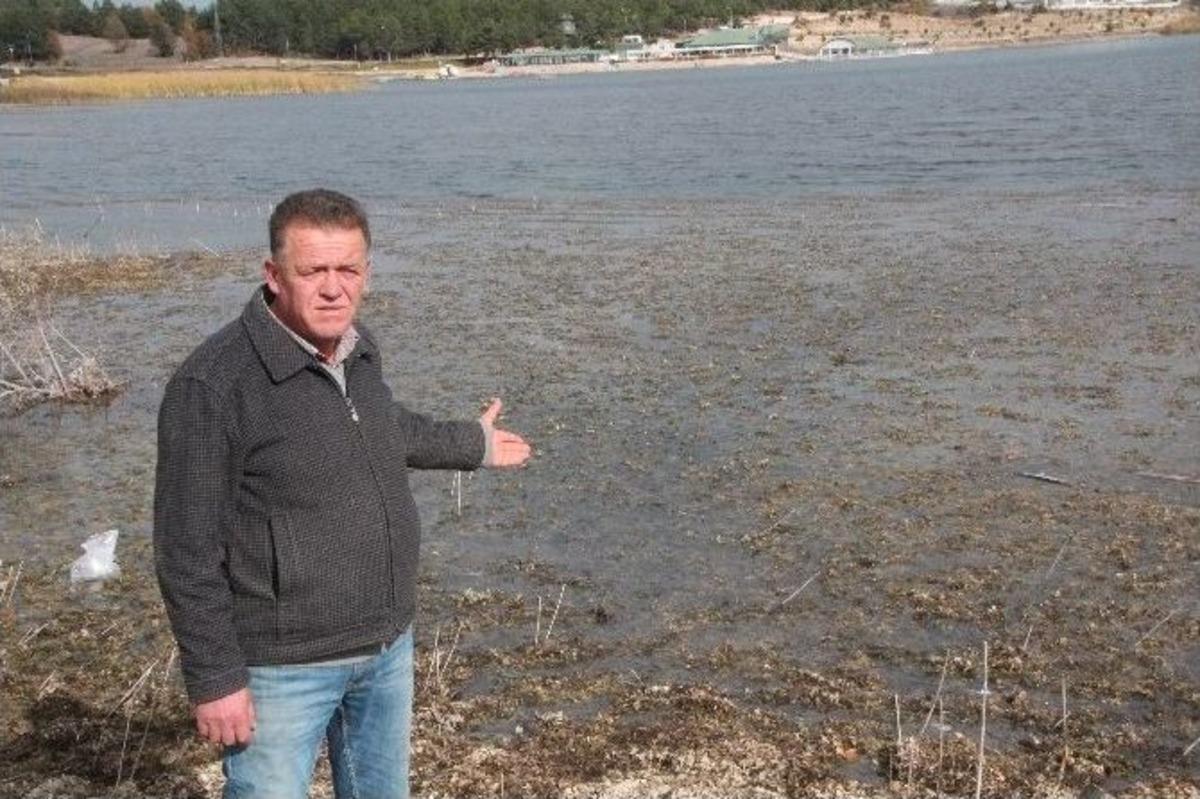 G&ouml;letin Suları &Ccedil;ekilince Etrafı Sinek Ve Pis Koku Yayıldı