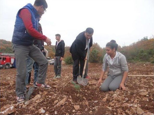 G&ouml;lpazarı&rsquo;nda İlk Hatıra Ormanı 1