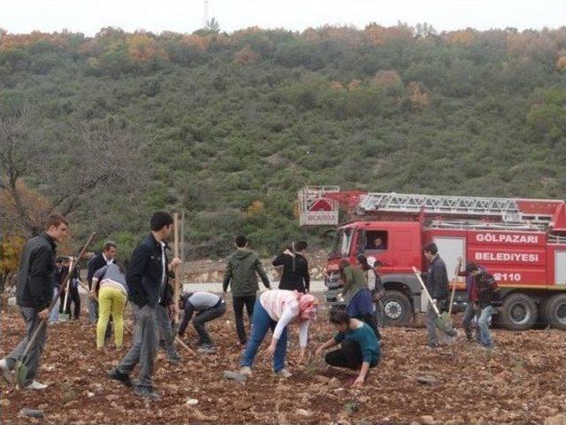 G&ouml;lpazarı&rsquo;nda İlk Hatıra Ormanı 2