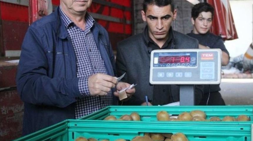 Rize&rsquo;de Kivi Hasadı Başladı