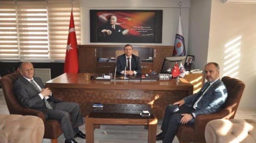 İneg&ouml;l&rsquo;De T&ouml;ren Alanının Yakınına Domuz Leşi Bırakıldı (2)