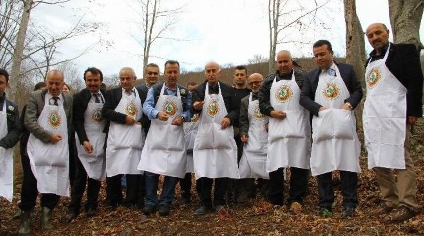 Ormanlar Gen&ccedil;leştiriliyor