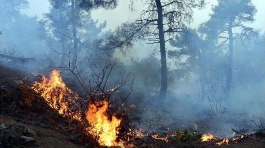 Tokat&rsquo;Ta Orman Yangını
