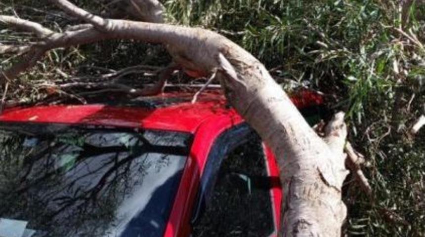 Dat&ccedil;a'da Şiddetli Lodos Yıktı Ge&ccedil;ti