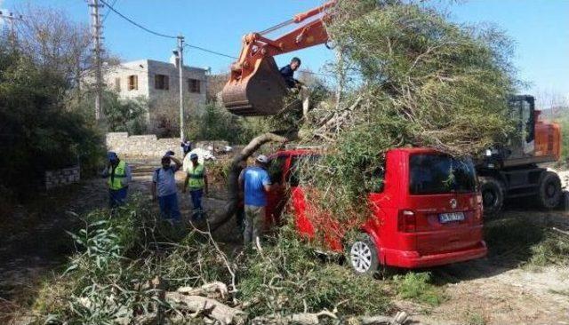 Datça'da Şiddetli Lodos Yıktı Geçti