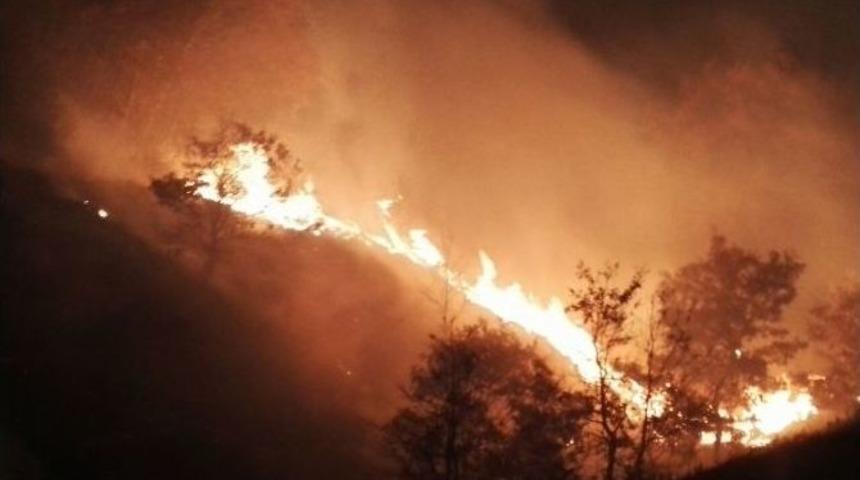 Hasandağı Eteklerinde Orman Yangını