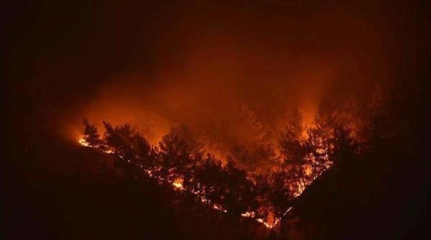 Tokat'ta Orman Yangını (2)